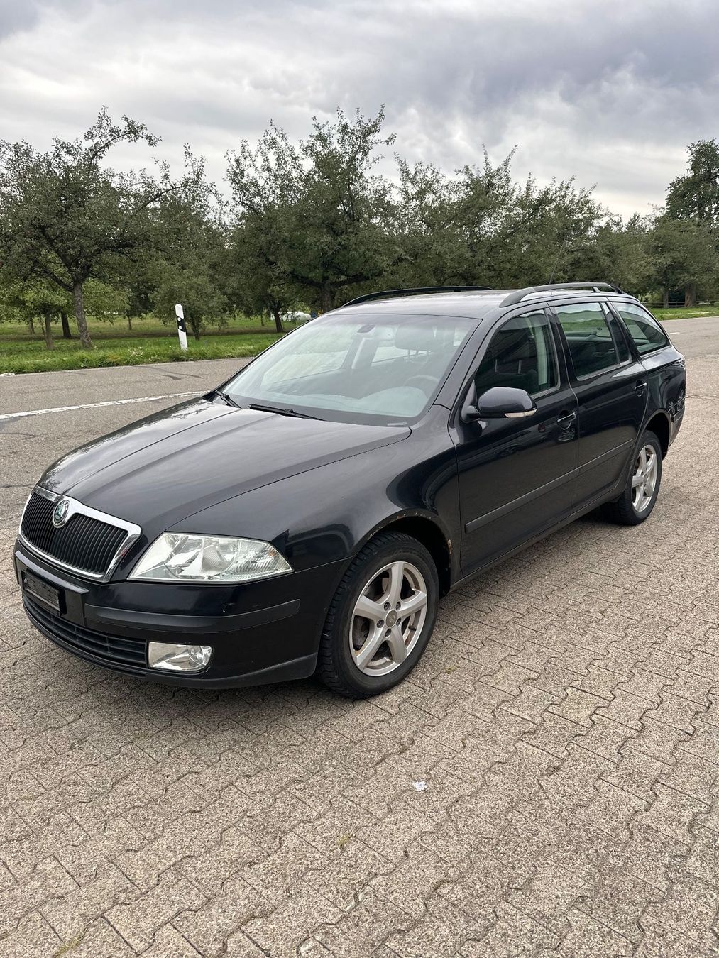 Skoda Automobili: Skoda Octavia Combi 4x4 – Usato da Zuckenriet venduto da DGZ2020