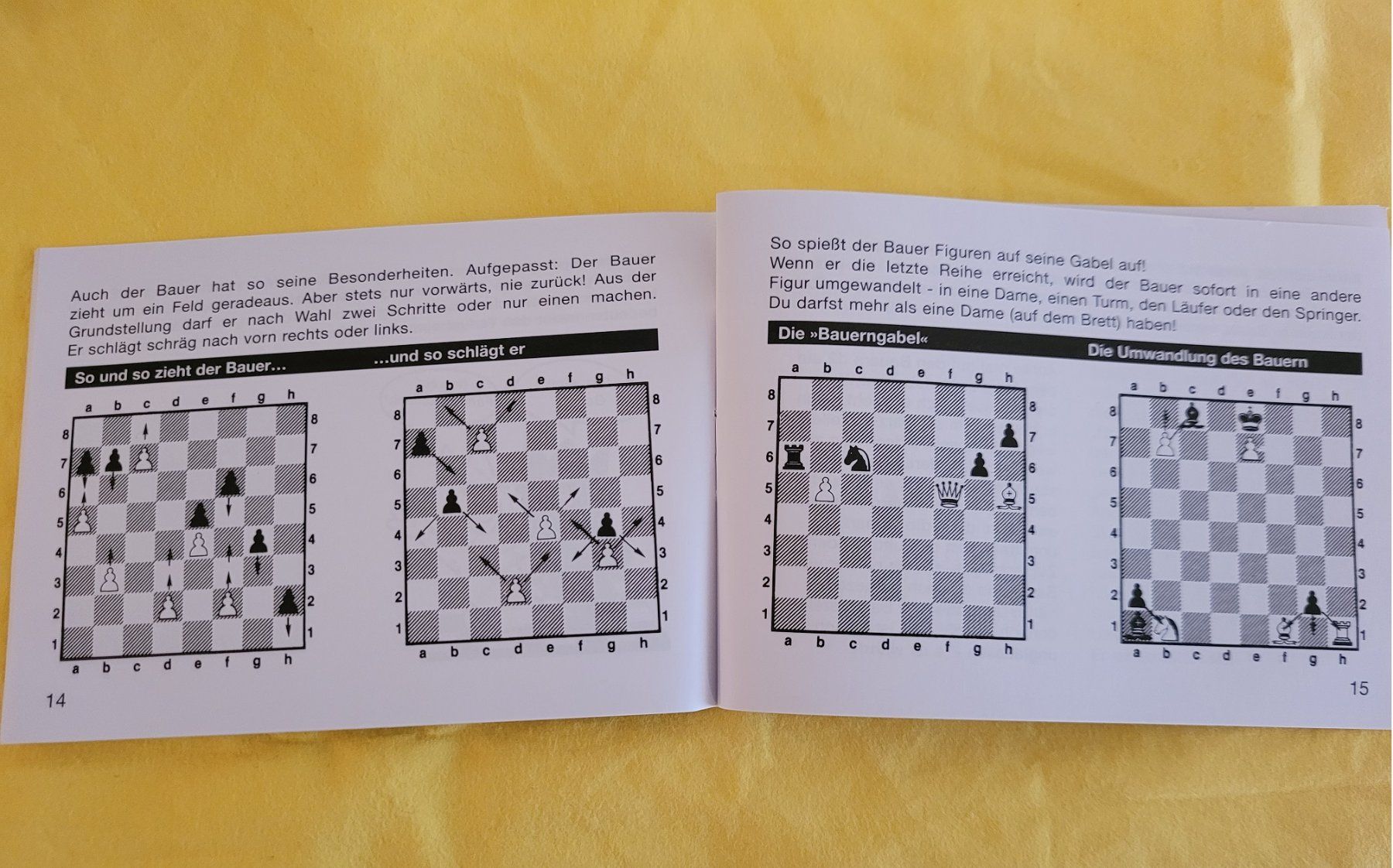 Giochi: MINI-SCHACHLEHRBUCH - Kostenloser Versand !! – Nuovo e nell'imballaggio originale da Chur venduto da Artona0903 1