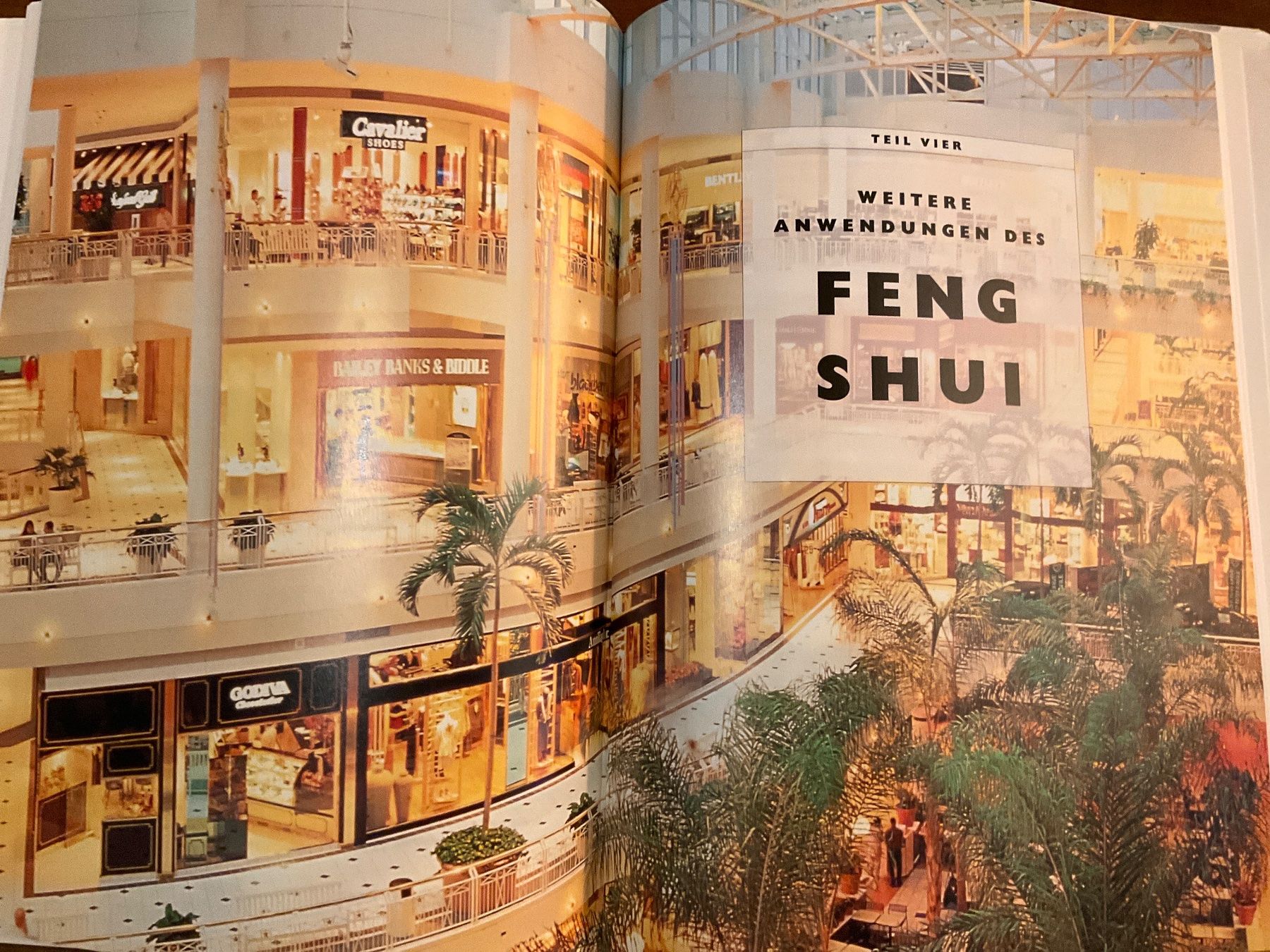 Libri: Das große Buch Feng Shui -  Lillian Too – Usato da Avenches venduto da Lactobacille 7