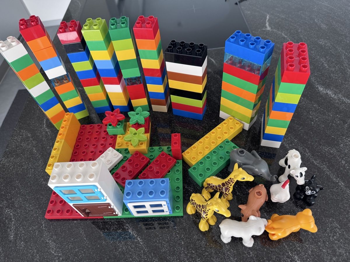 Lego Giocattoli: Duplo Bausteine und Tiere – Usato da Wiesendangen venduto da Biker39