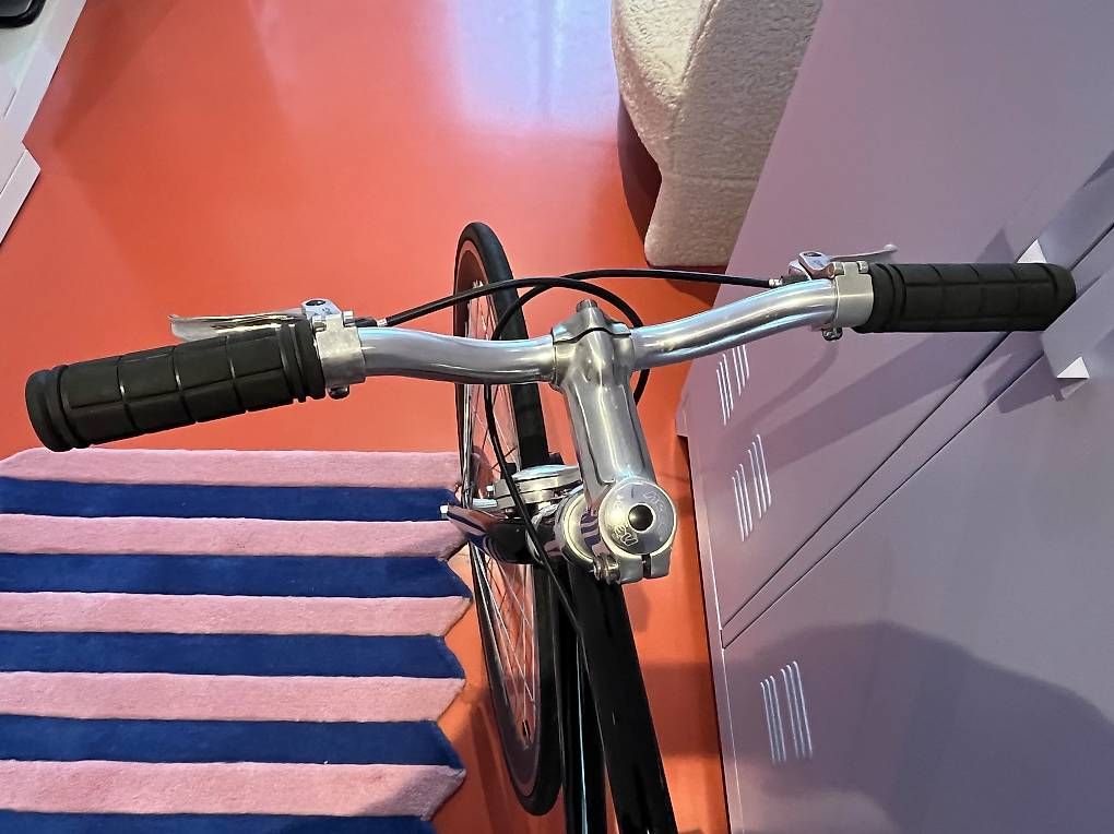 Biciclette: Fixie Singlespeed black (DYB) – Usato da Luzern venduto da Ullamania23 3