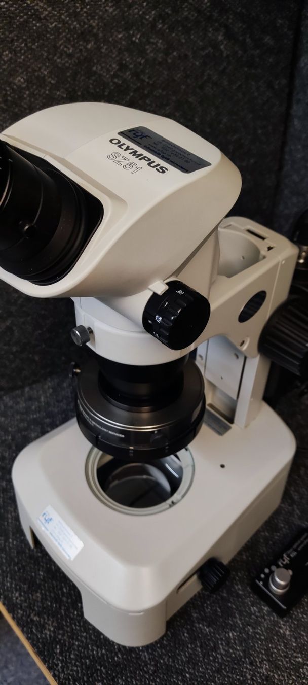 Olympus Microscopi: Olympus SZ51 Stereomikroskop – Usato da Bühl BE venduto da x-drums 1