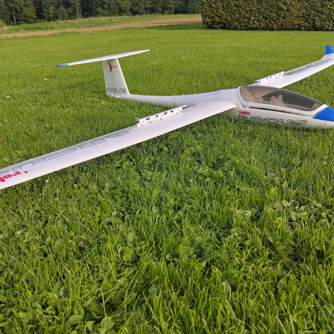 Robbe RC Modellbau: Robe Arcus – Gebraucht aus Altdorf SH von Gerrymini 4