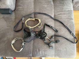  Original Grossenbacher-Geschirr, Führleine & 2 Halsbänder