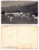 Albeuve, La Cuvignette