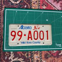 Alberta Kanada Canada USA Nummernschild Plate U26 8PE