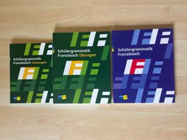 Schülergrammatik Französisch: Theorie, Übungen, Lösungen