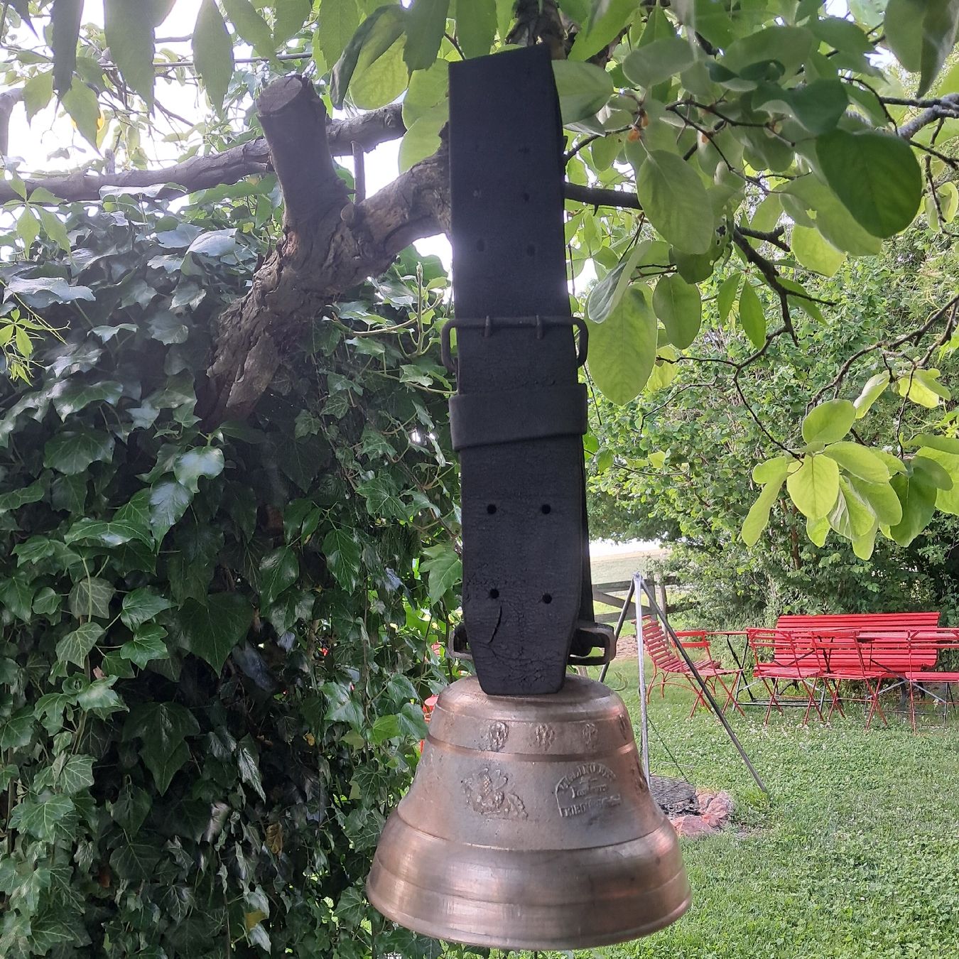 Campanacci mucche: ALTE VIGLINO FREIBURG GLOCKE – Usato da Murten venduto da SHETHOF 9
