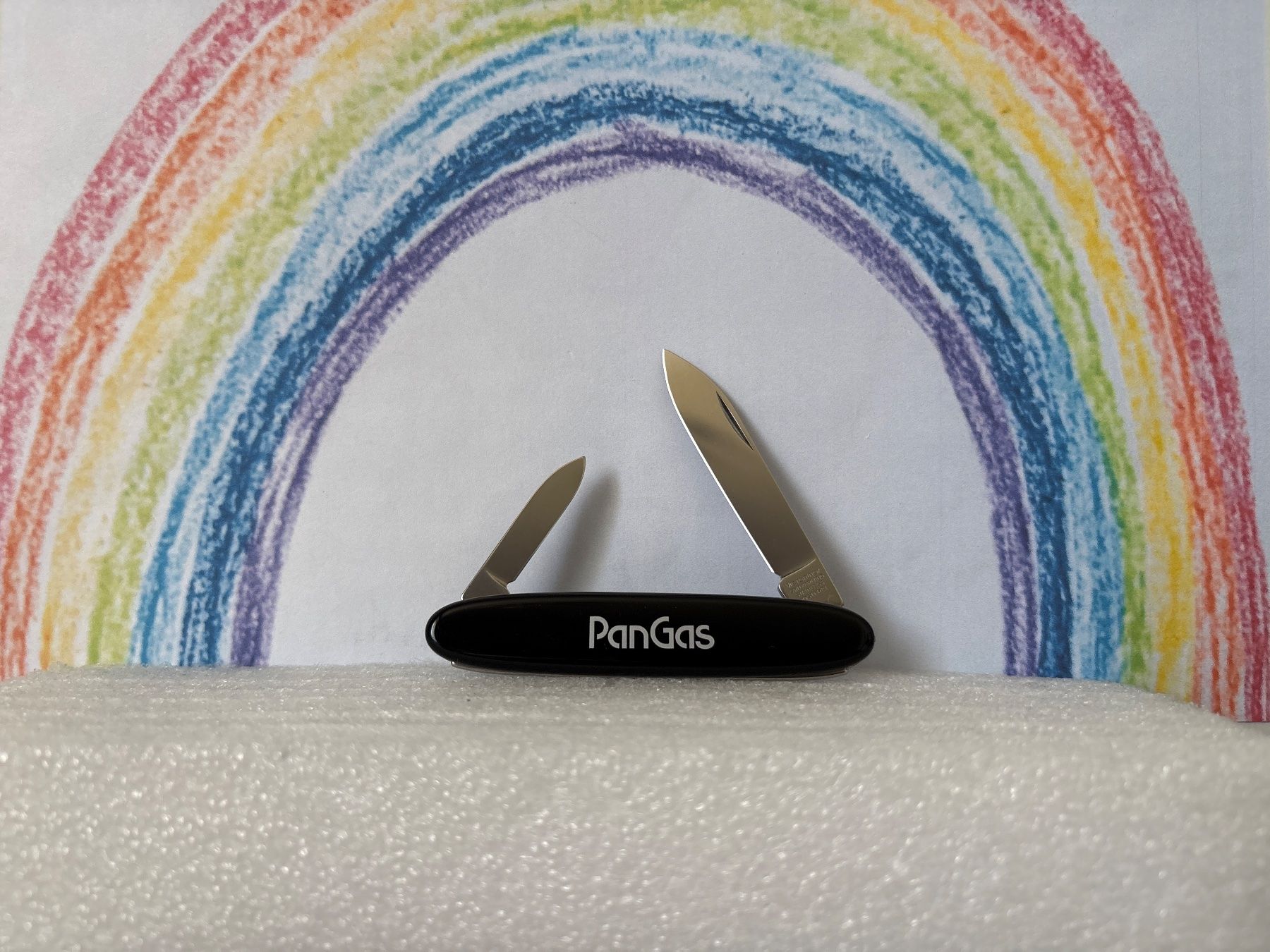 Victorinox Coltelli tascabile: VICTORINOX - Excelsior - Sackmesser - PanGas – Usato da Andwil SG venduto da Rainboli 2