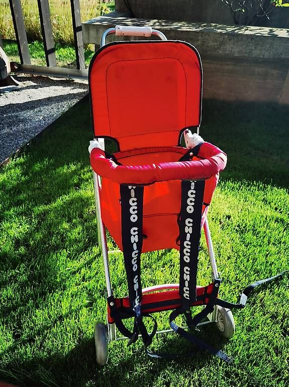 Marsupi portabebè: Porte-bébé dorsal Chicco – Usato da Attalens venduto da Tpluess 2