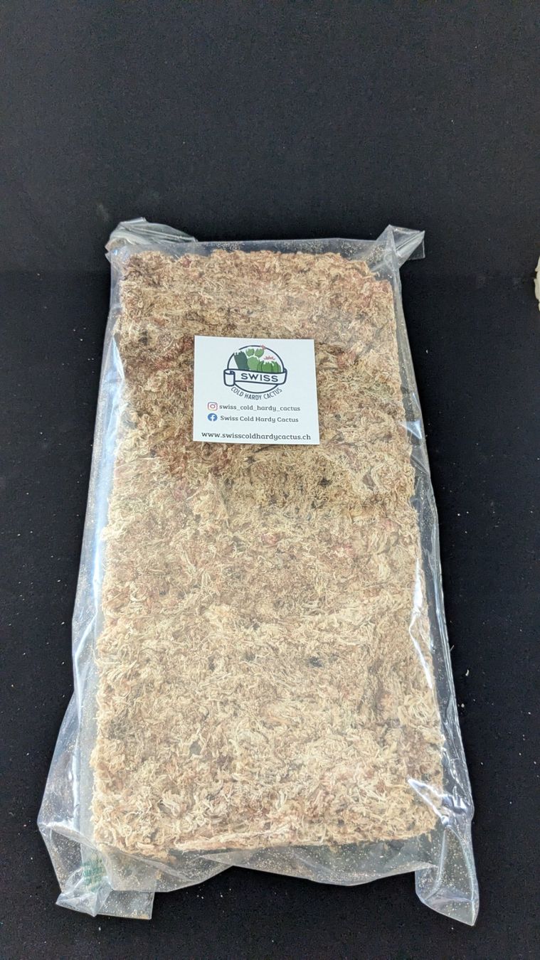 Piante & sementi: Sphaigne séchée du Chili 250g – Usato da Vuisternens-Romont venduto da Cold_cactus