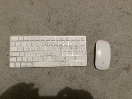 Apple Magic Tastatur und Maus bluetooth kabellos  