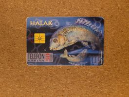 Telefonkarte Ungarn Fisch