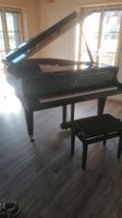Fridolin Schimmel Flügel F156 - Garantie bis 2030