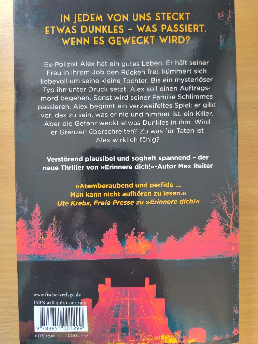 Libri: Max Reiter - Der Killer in Dir, spannender Thriller! – Usato da Wattwil venduto da firemage 1
