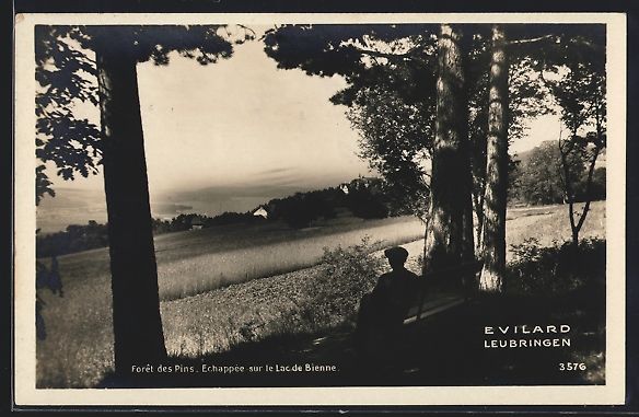Cartoline postali: Evilard / Leubringen, Teilansicht von ei – Usato da Berlin venduto da bartko-reher