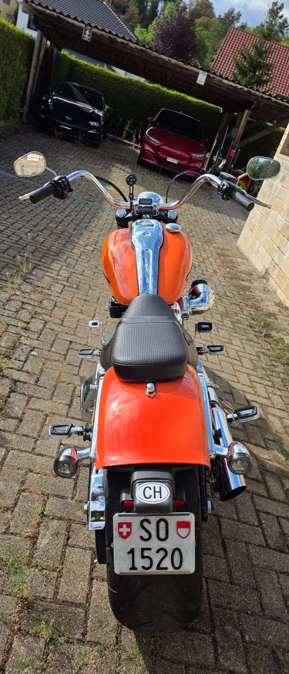Harley-Davidson Cruisers: Harley-Davidson FXBR 117 Breakout – D'occasion à Seewen SO par DealornoDeal 3