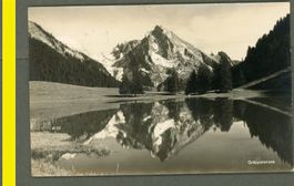 AK sw Gräppelensee SG Toggenburg © Burkhardt ≈ 1931 