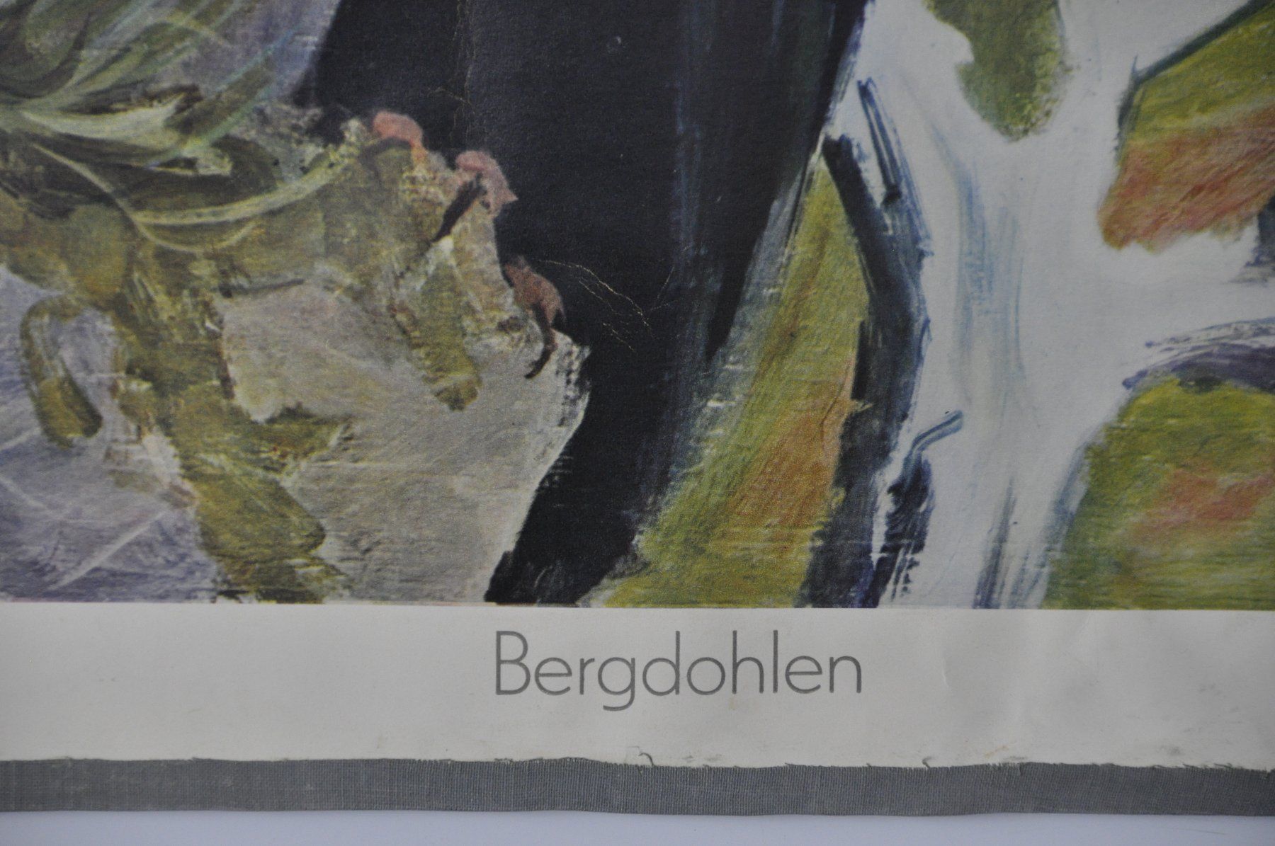 Foto & Immagini: Schulwandbild  Bergdohlen Fred Stauffer – Usato da Härkingen venduto da sammelbecken 6