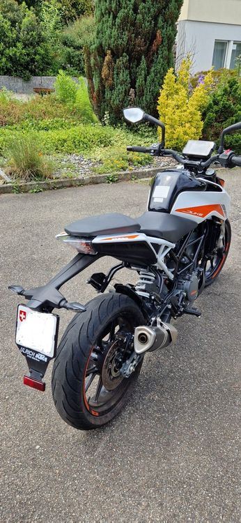 KTM Strada: KTM Duke 390 in einwandfreiem Zustand – Usato da Mühlau venduto da Natalie070898 1