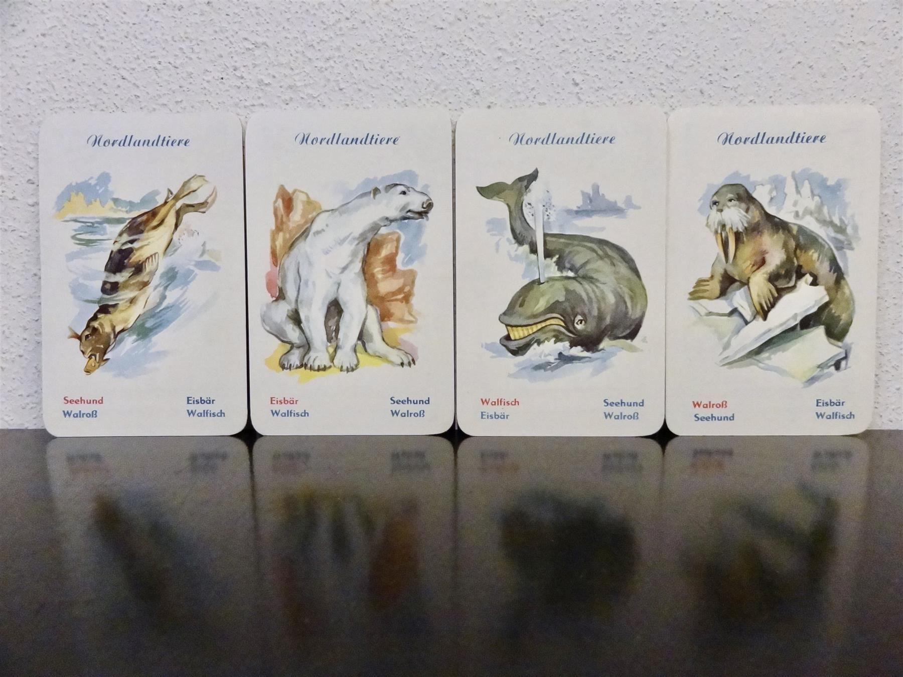 Giochi: schönes altes TIER Quartett – Usato da Kerzers venduto da wisaundso 7
