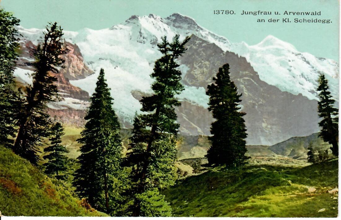 Ansichtskarten: Jungfrau u. Arvenwald – Gebraucht aus Hochdorf von Ziegel-16