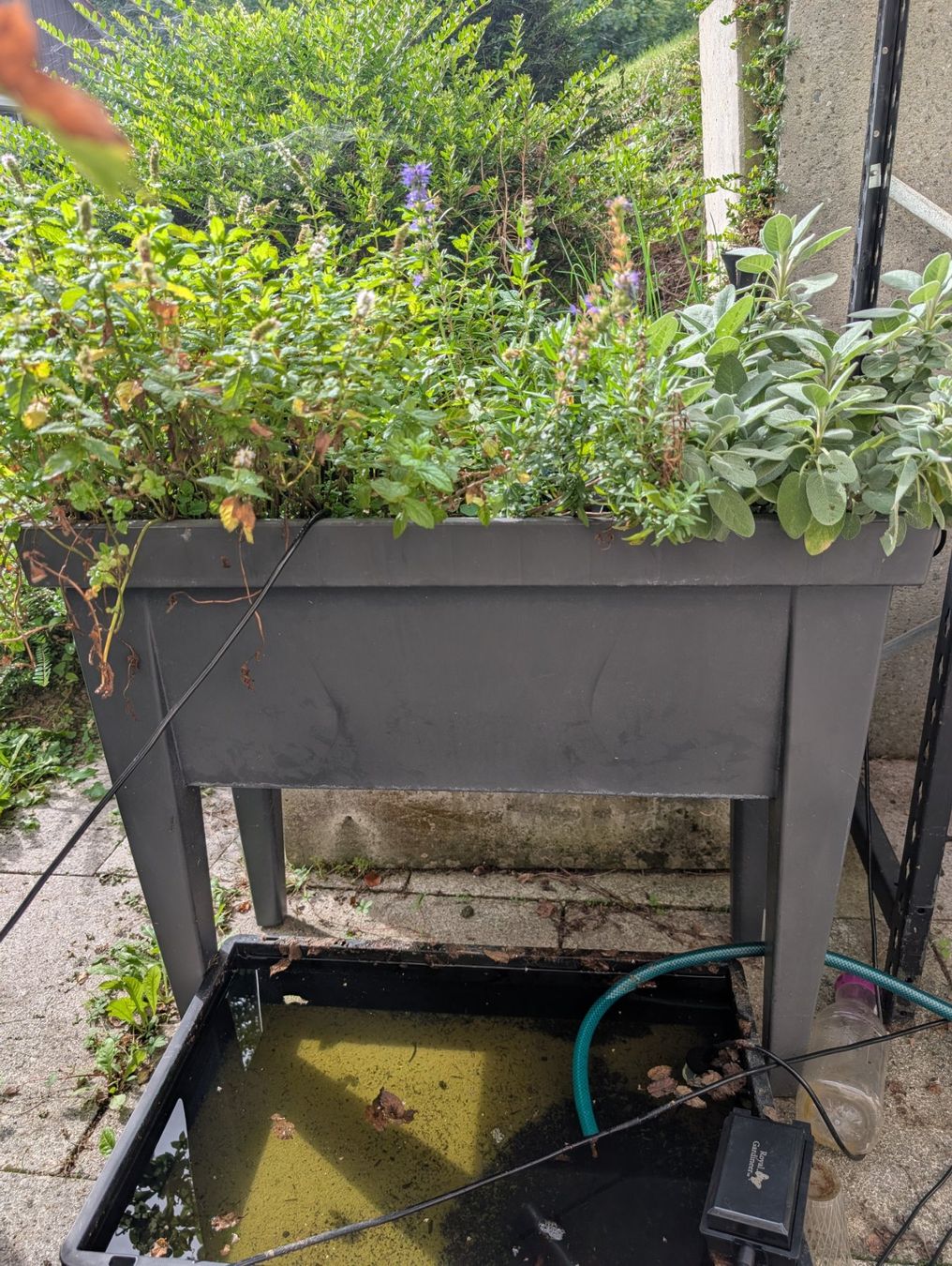 Coffres de rangement: Hochbeet – D'occasion à fällanden par dav_s7zg 1