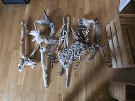 Holzstöcke, Wurzeln & Kork für Terrarium