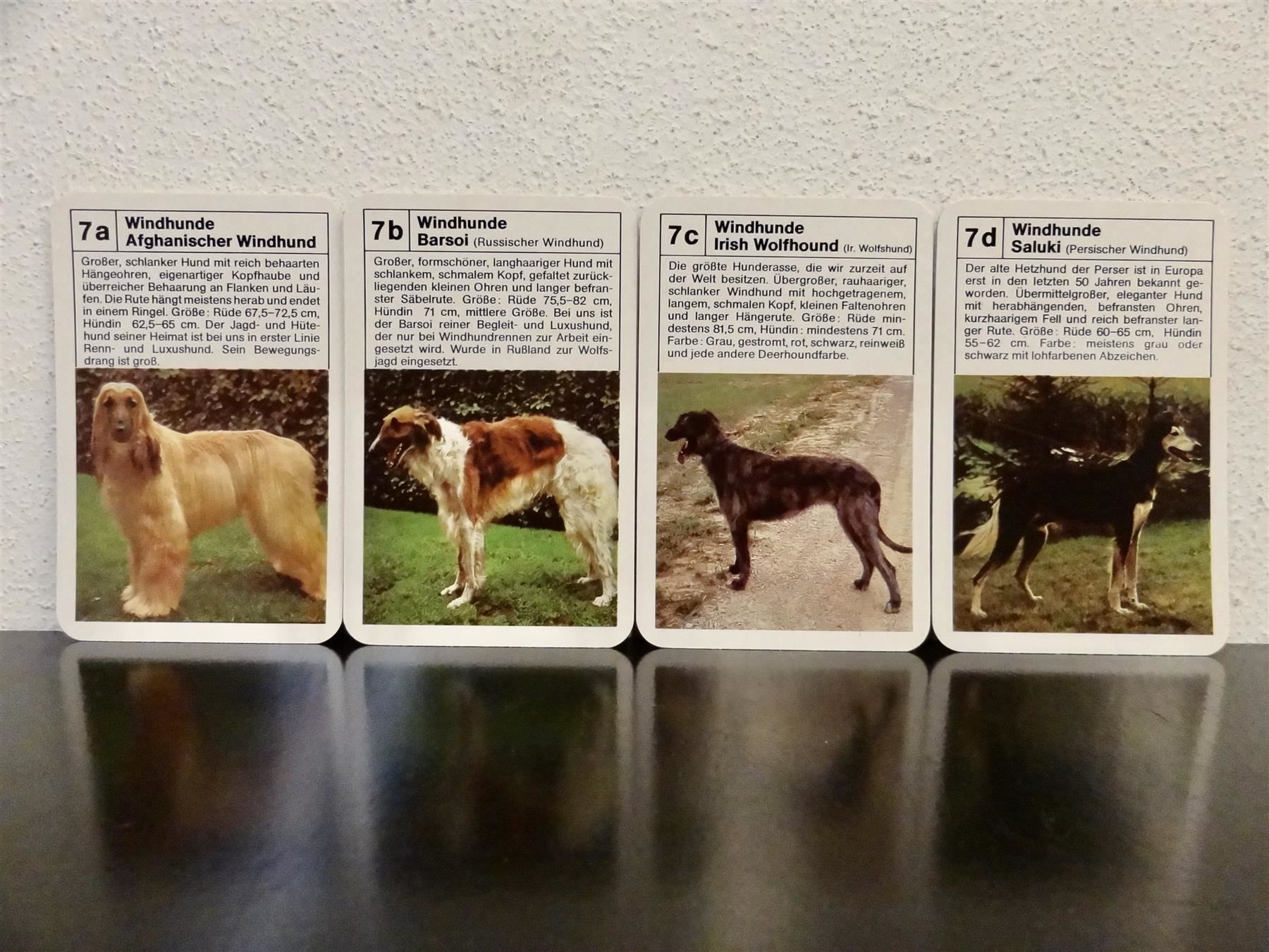 Spiele: altes Quartett TIER-QUARTETT HUNDE HUND – Gebraucht aus Kerzers von wisaundso 8