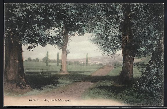 Cartoline postali: AK Sursee, Weg nach Mariazell – Usato da Berlin venduto da bartko-reher