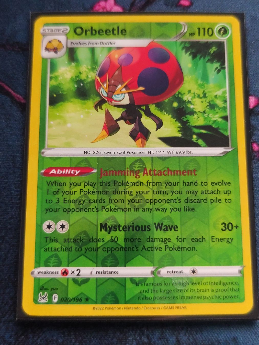 Pokémon Cartes à collectionner: Pokemon Orbeetle Lost Origin EN – Neuf (Voir description) à Schlossrued par LAP2012
