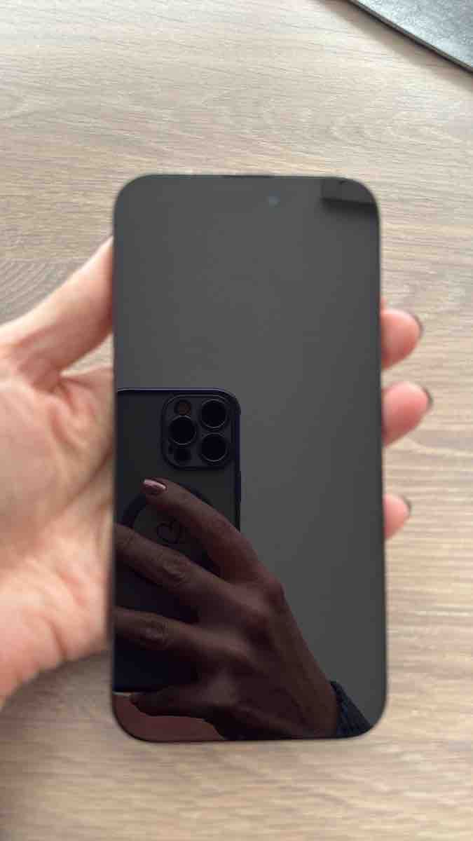 Apple Telefoni cellulari / Smartphones: Apple iPhone 14 Pro Max 256 GB Space Black – Usato da Recherswil venduto da Chantal885 2