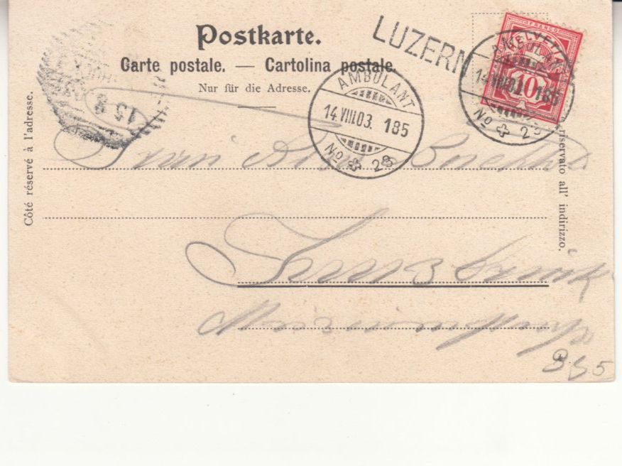 Cartoline postali: Luzern 1903 mit Stabstempel Luzern – Usato da Bürglen TG venduto da StampGraf 1
