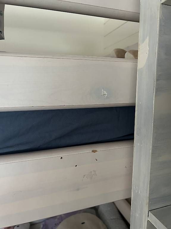 Flexa Letti: Flexa Etagenbett – Usato da Filzbach venduto da flowerpower14 1