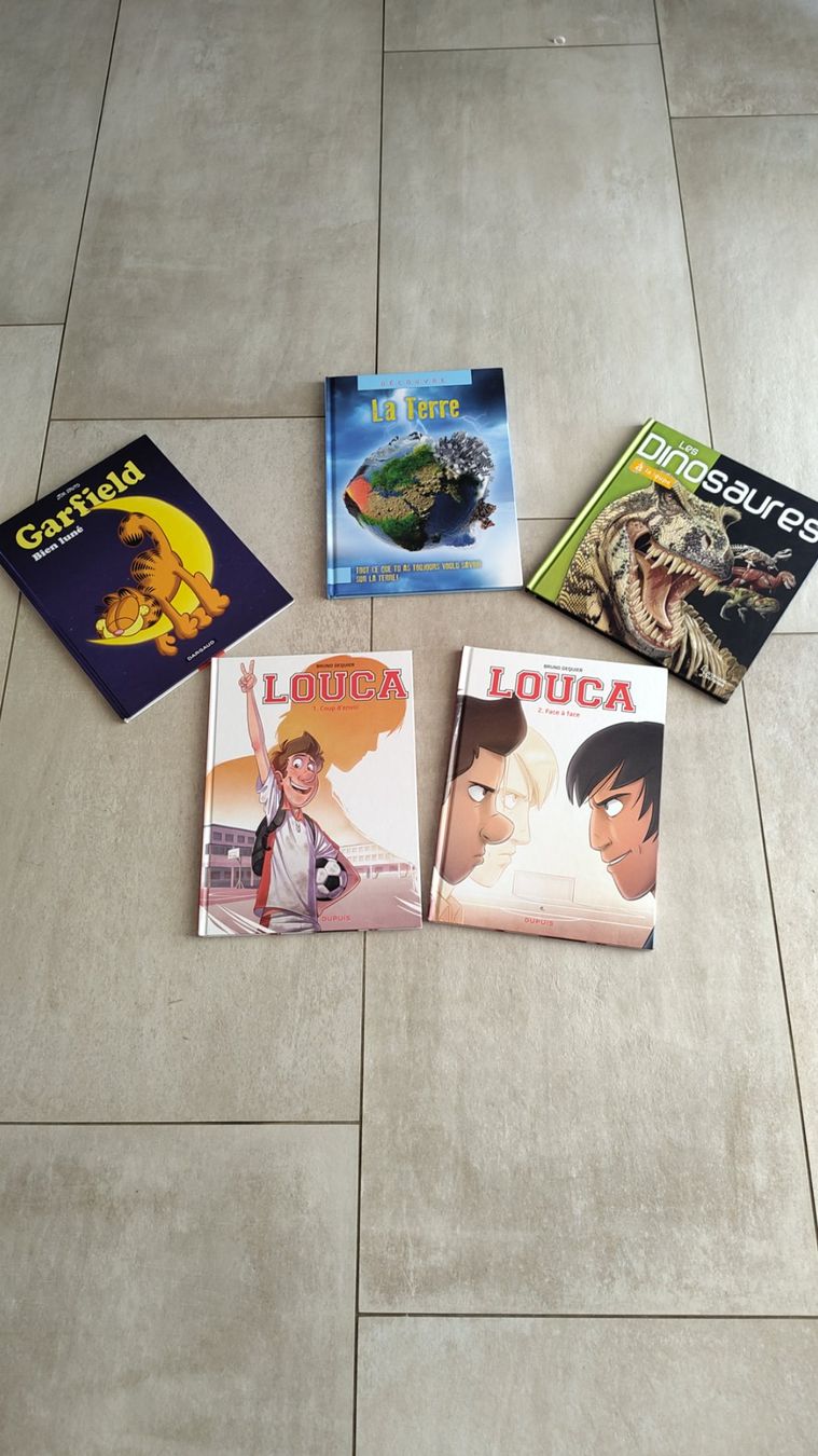 Comics: Bandes-dessinées – Gebraucht aus Vicques von Floconavoine
