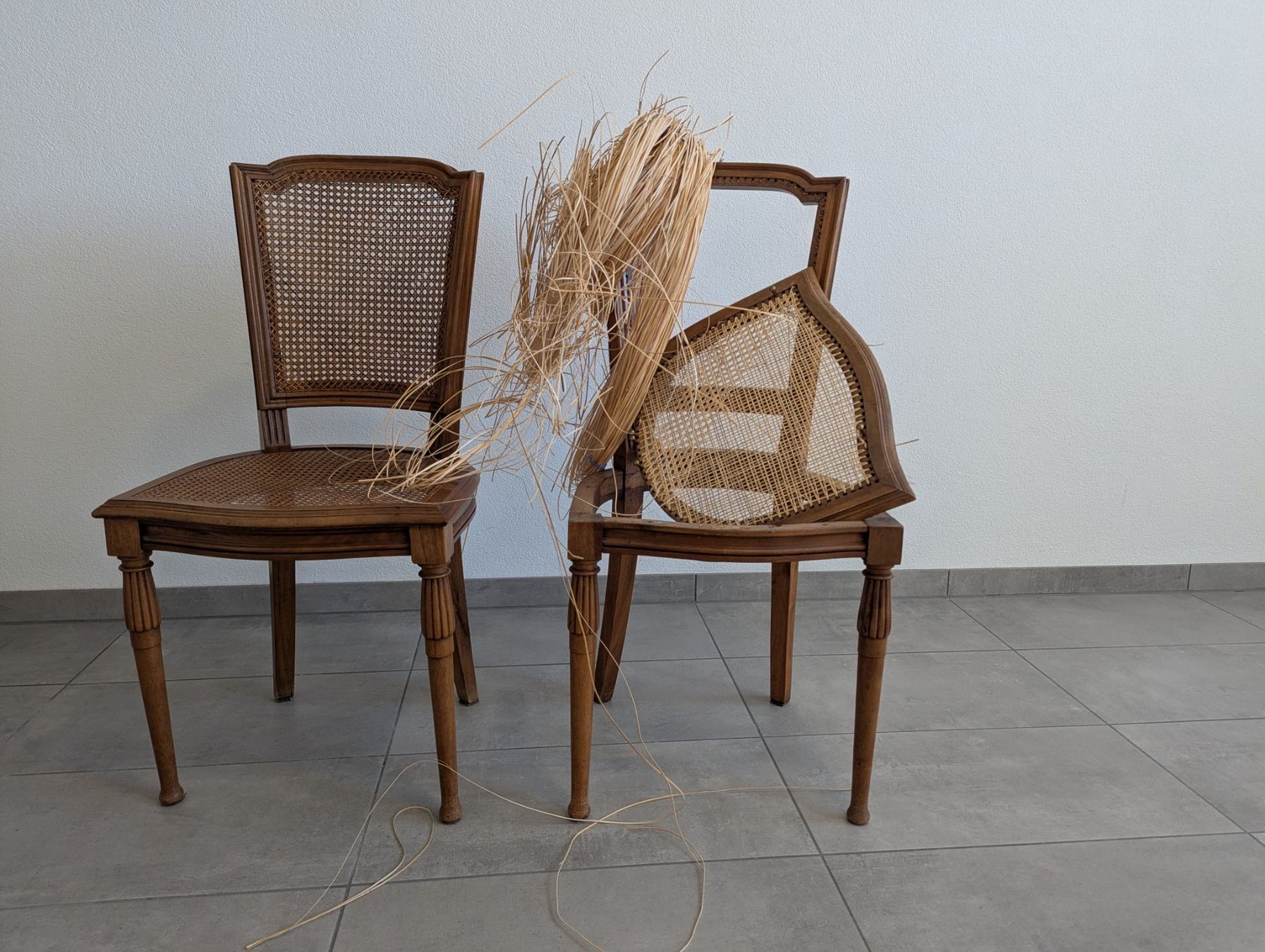 Stühle: Lot de 5 + 1 chaise cannées – Gebraucht aus Bretonnières von Pascalejb 2