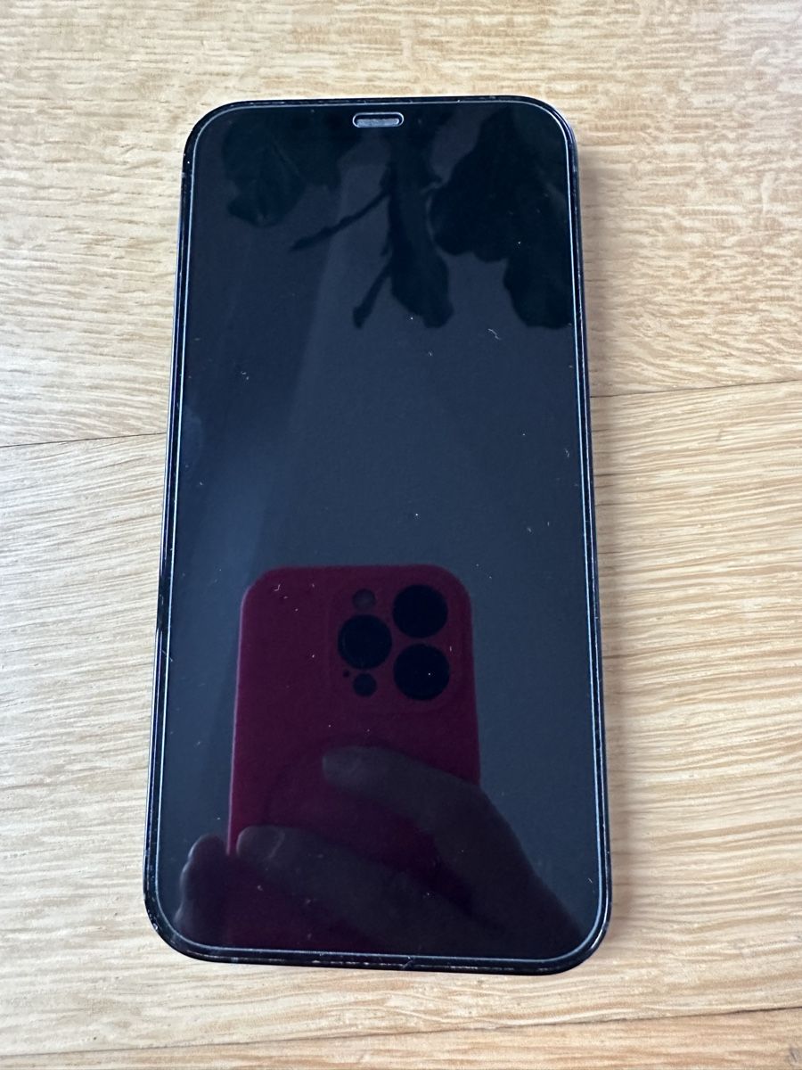 Apple Telefoni cellulari / Smartphones: iPhone 12 Pro 512GB – Pacific Blue – Nuovo (secondo la descrizione) da Zürich venduto da san_5y86 6