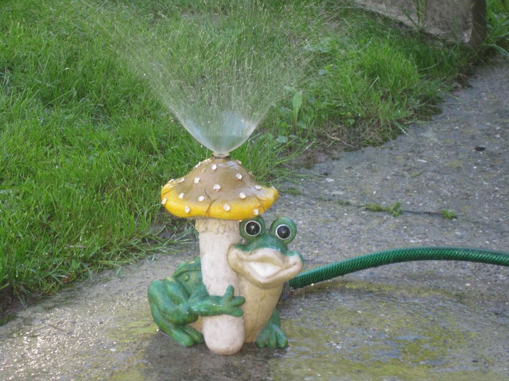 Frosch. für Zierbrunnen Teich Kaufen auf Ricardo