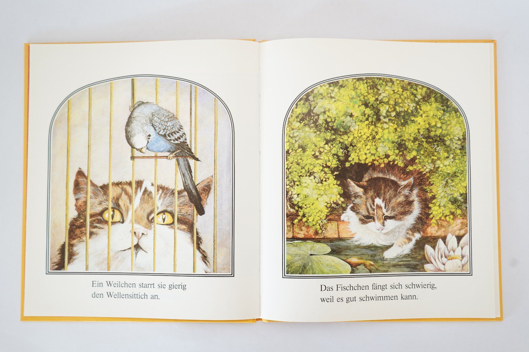 Bücher: Die Katze Florentine – Gebraucht aus Ebikon von lin_jr8x 1