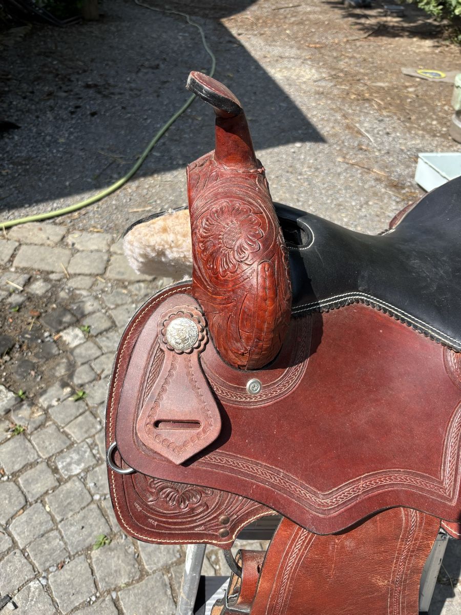 Selle & Accessori: Sattel – Usato da St. Gallen venduto da may_8fbd 3