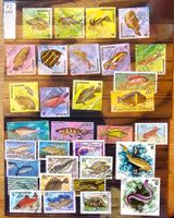 Motive - Fische / Poissons