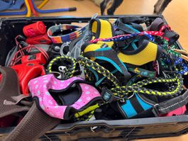 diveres Hundeleinen und Hundegeschirr