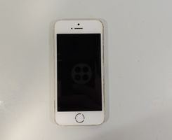 iPhone 5s Gold