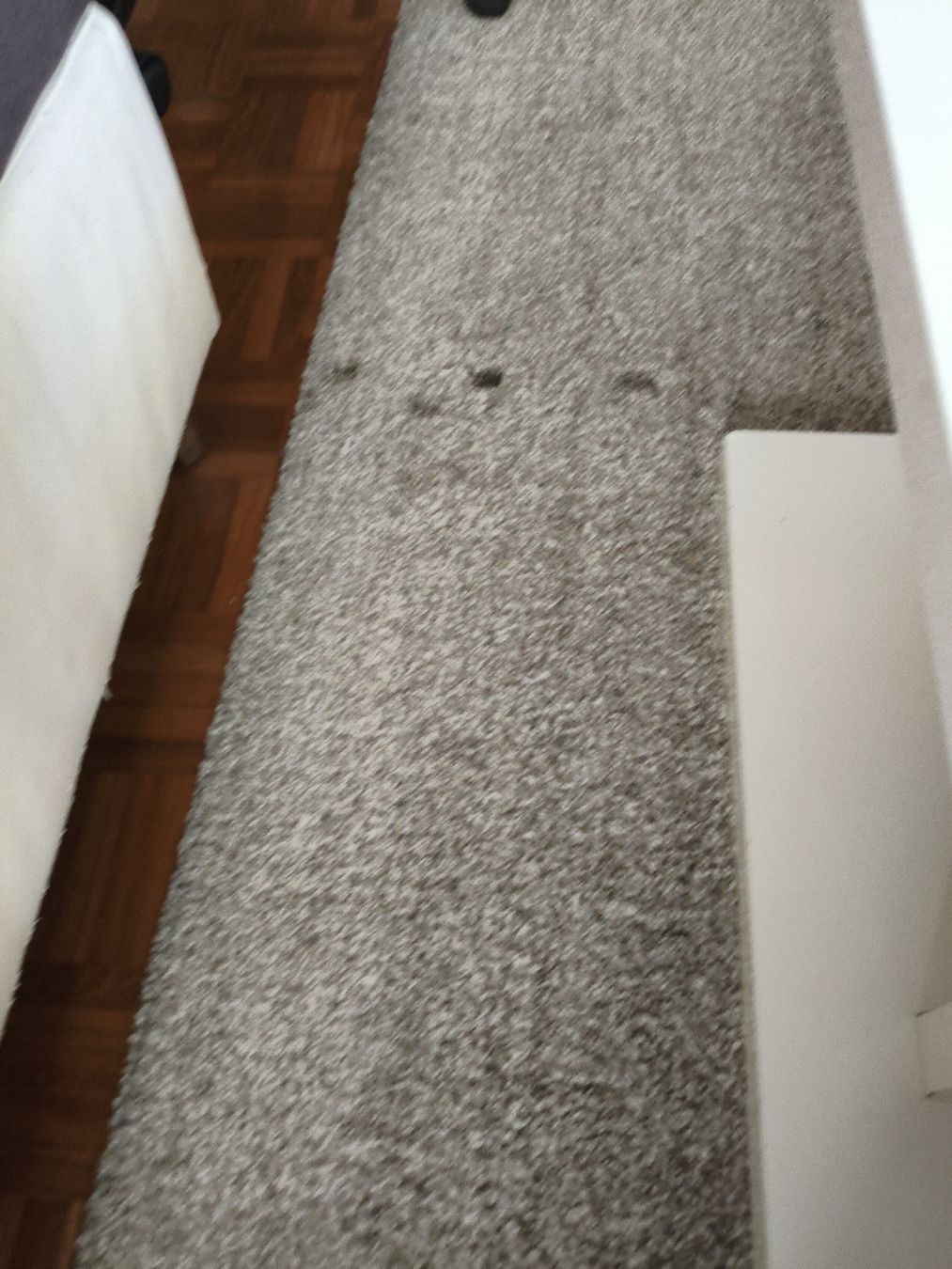 Ikea Tappeti: Gratis grosser Teppich zu verschenken – Usato da Flums venduto da mou_ncb9 1