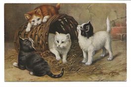 Katzenkarte - junge Katzen spielen mit Korb und Stroh - 1915