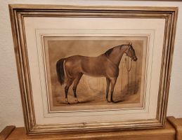 Seltene Antike Lithografie Pferd gerahmt 1873