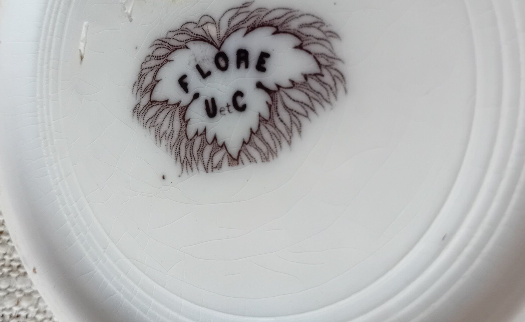 Teiere: Sarreguemines "Flore" kanne – Usato da Arbon venduto da kor_w5lq 2