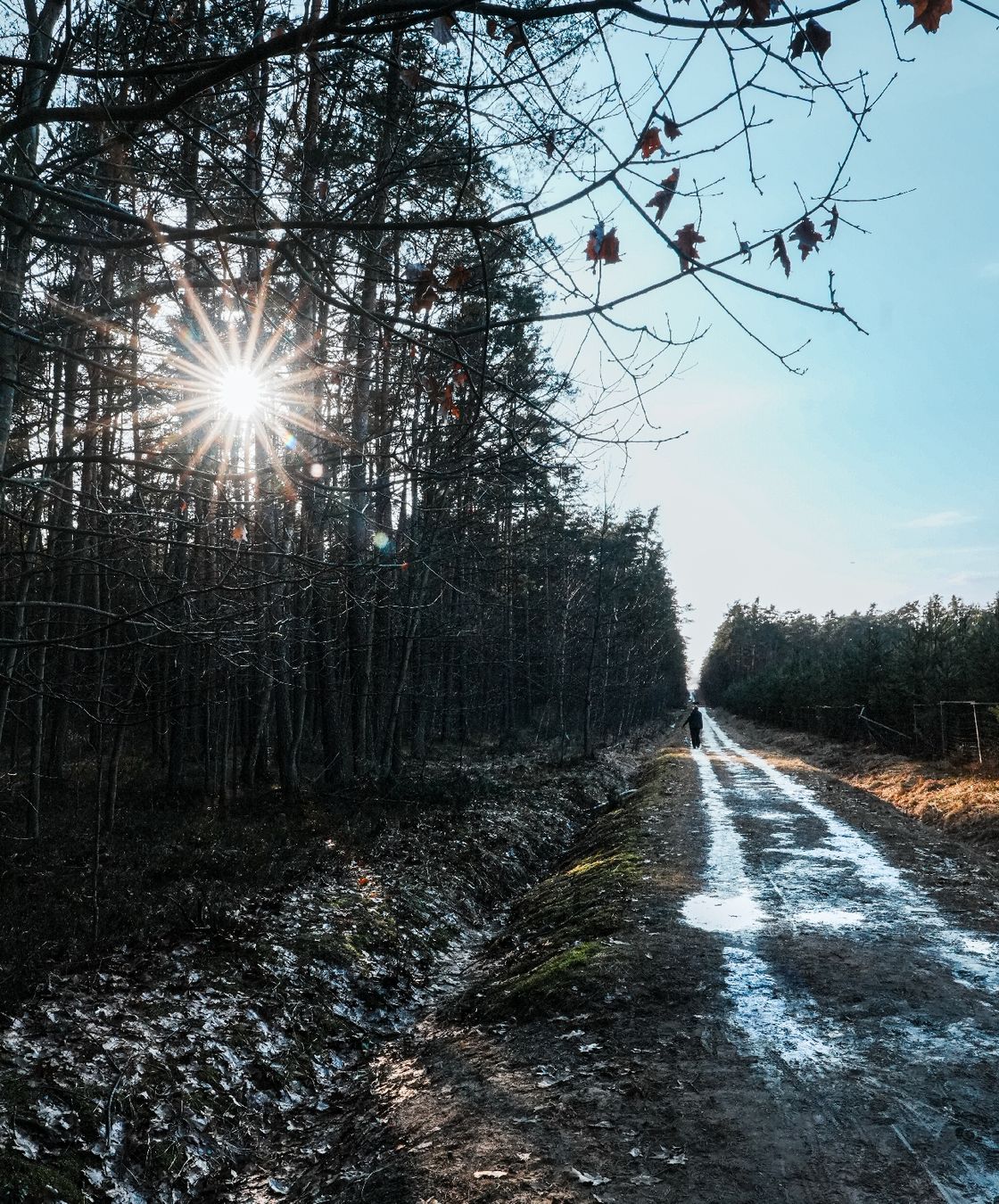 Sony Obiettivi: Objektiv Sony E 18-200mm F3,5-6,3 OSS LE – Usato da Hägendorf venduto da art_s8lw 7