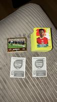 200+ Panini Stickers & 2x mystery Extra Sticker