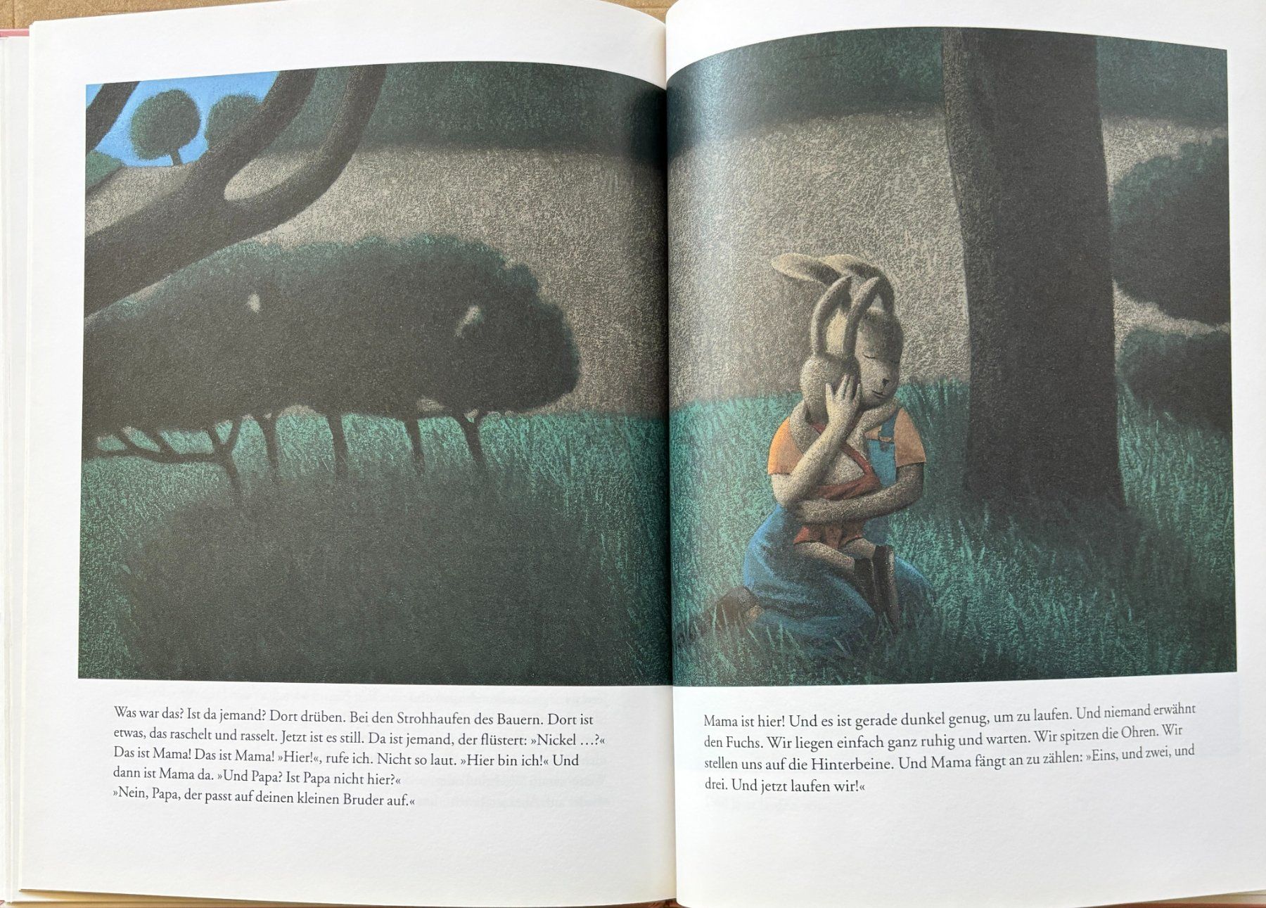 Libri: Das weite Feld – Nuovo (secondo la descrizione) da Sarnen venduto da Livres 5